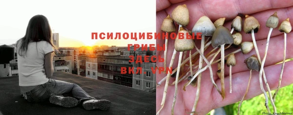 кокс Волоколамск